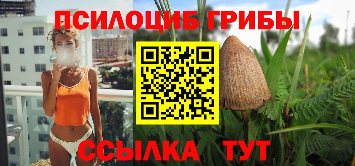 Псилоцибиновые грибы GOLDEN TEACHER Красноармейск